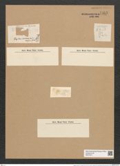 Fragilaria virescens var. exigua Grun. (de-Toni-Nr.: Genus 73, Species 2707) Zeichnungen Sammlung Grunow Nr. 5553 (NHMW-BOT-W0374011)
